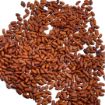 Bild von Motherland's Taste Rosecoco Beans 500g
